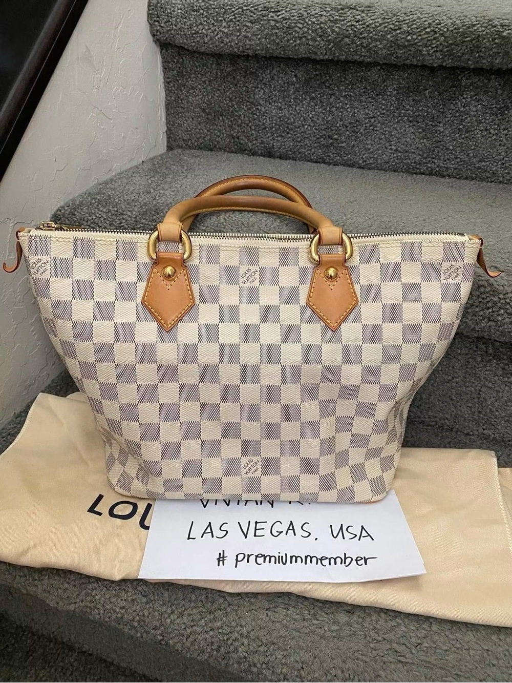 Louis Vuitton Saleya Damier Azur Tote in Cream and Tan Leather PM - Picture 2 of 16
